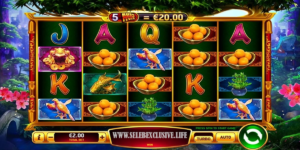 money tree slot
